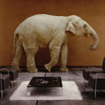 About-Patti-Elephant-in-Room